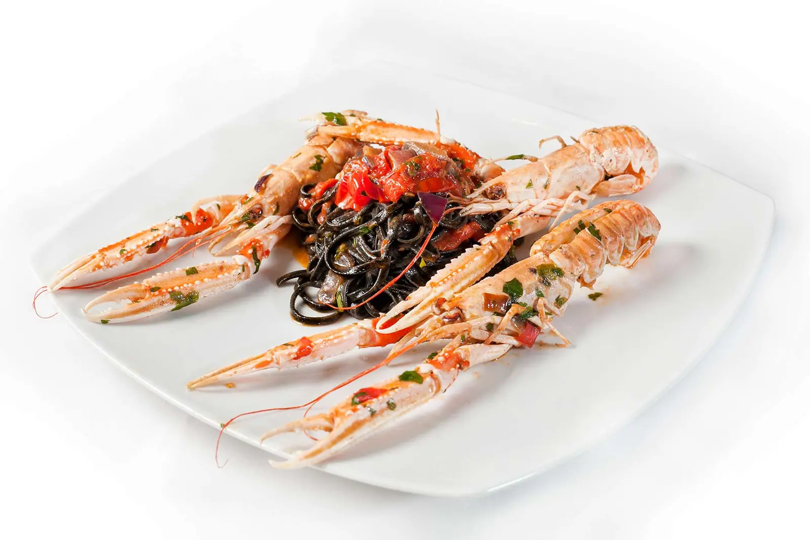 Schwarze Spaghetti mit Scampi, angerichtet auf weißem Teller.